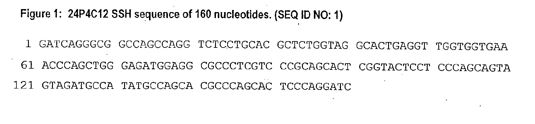 Antibodies to tumor associated proteins