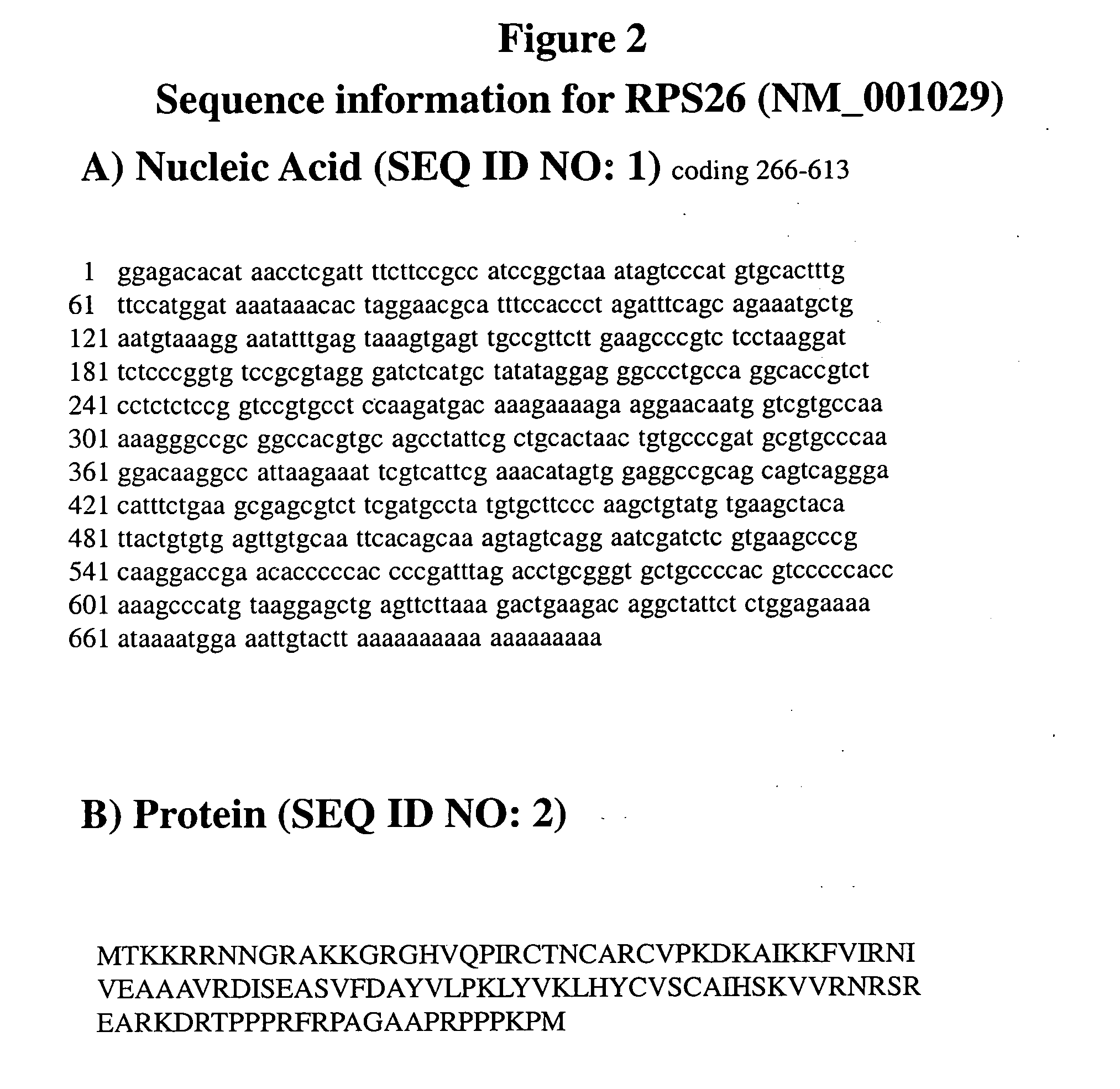 Genetic Alterations on Chromosome 12 and Methods of Use Thereof for the Diagnosis and Treatment of Type 1 Diabetes