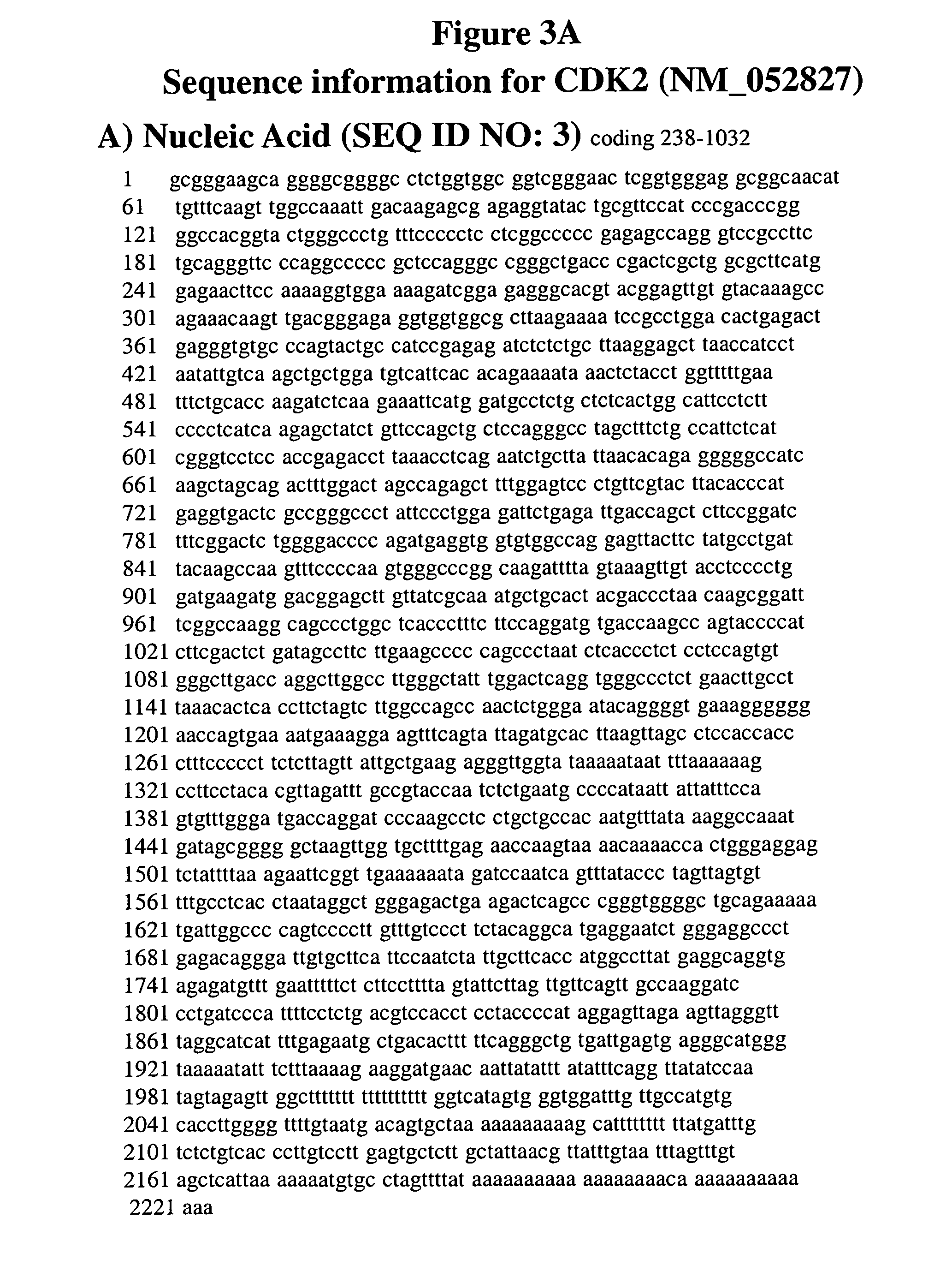 Genetic Alterations on Chromosome 12 and Methods of Use Thereof for the Diagnosis and Treatment of Type 1 Diabetes