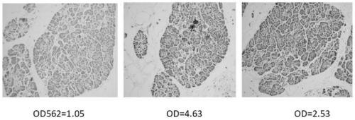 Hematoxylin staining solution oxidation degree monitoring method and a hematoxylin staining solution quality control method