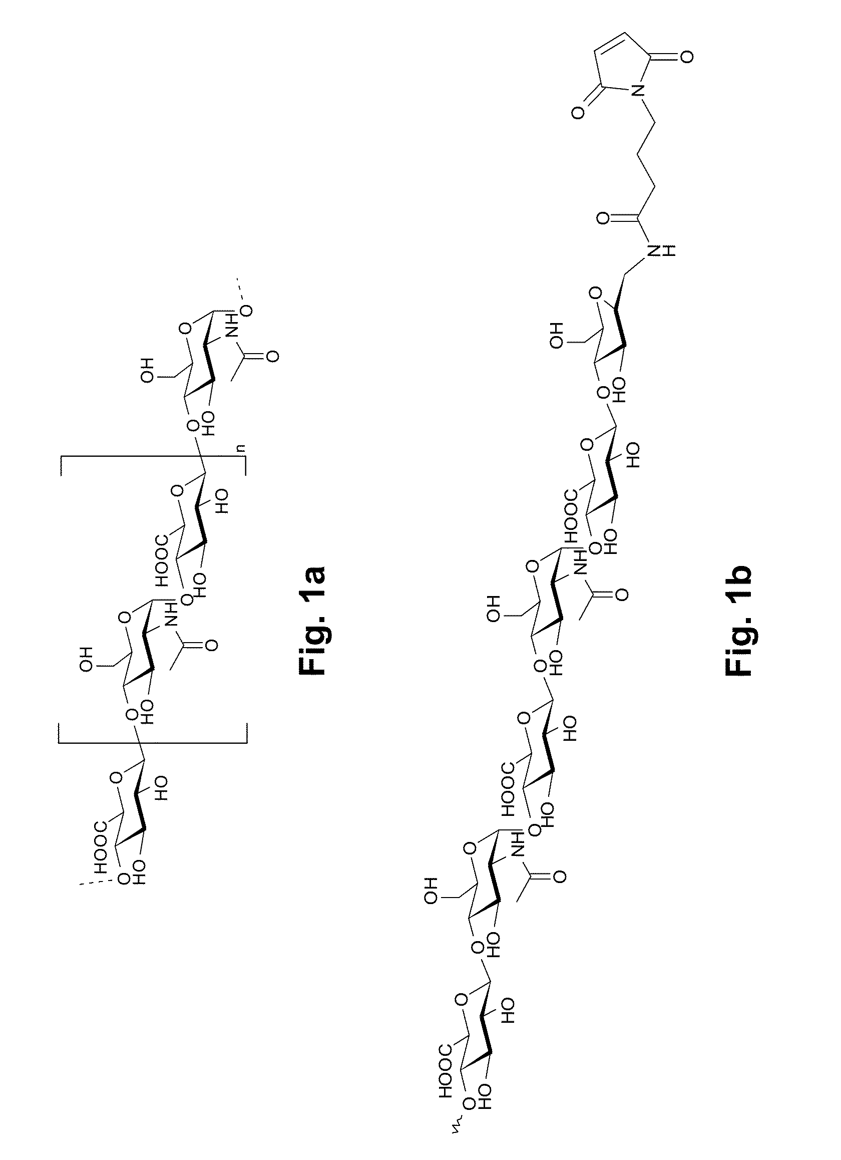 Factor VII Conjugates