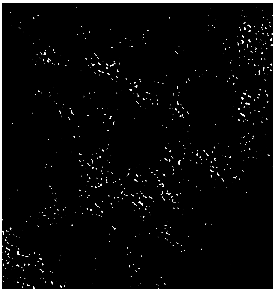 A kind of allophane silicon nanotube hybrid forward osmosis membrane