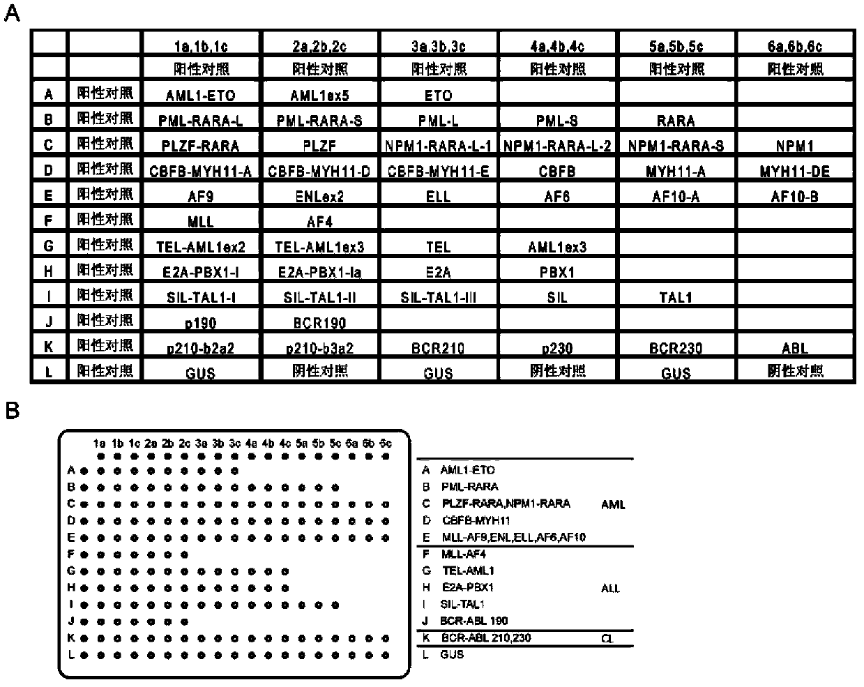 Detection method for leukemia fusion genes, primers, probes and gene chip thereof