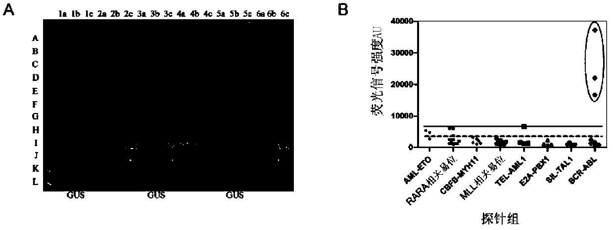 Detection method for leukemia fusion genes, primers, probes and gene chip thereof