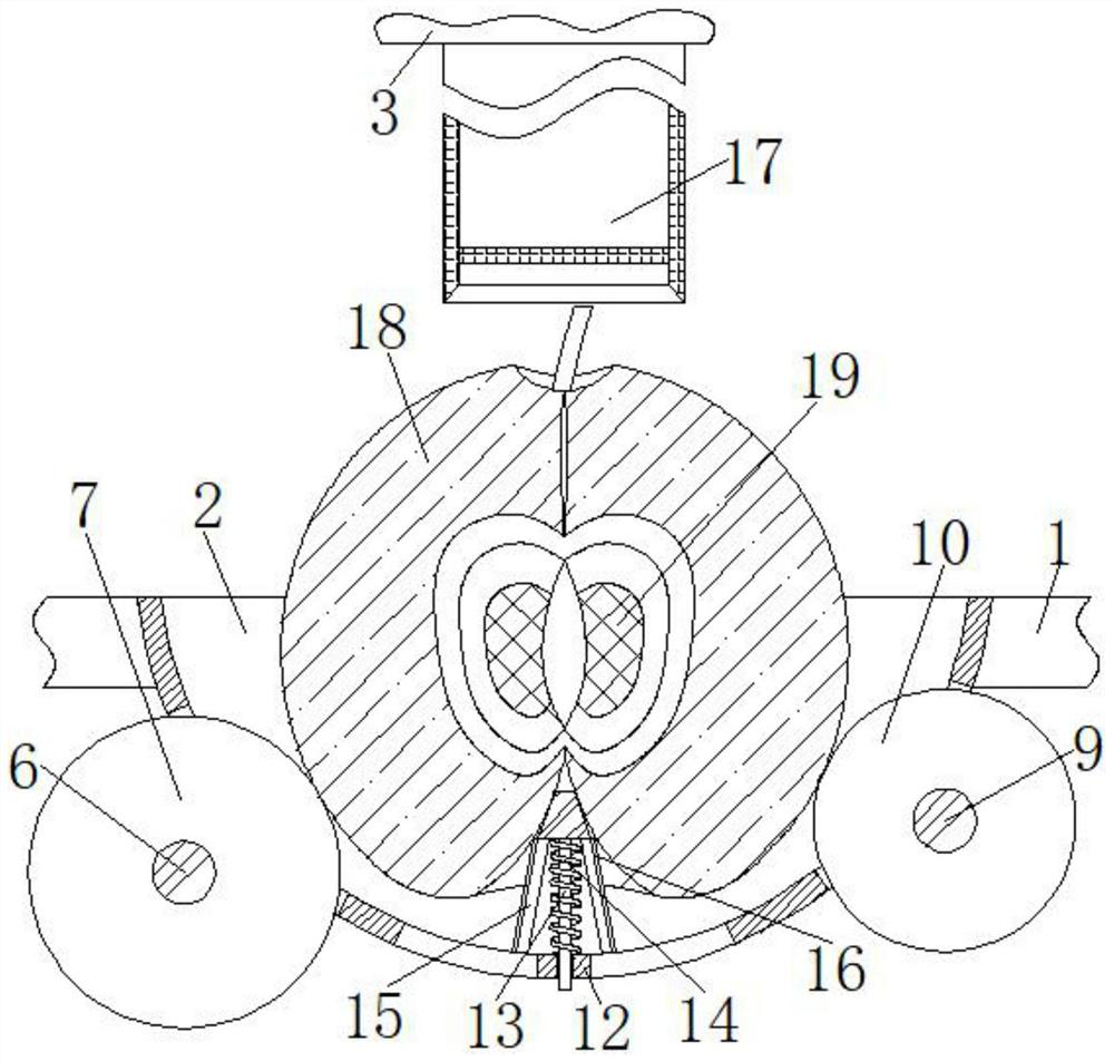 Seed removing machine for food processing