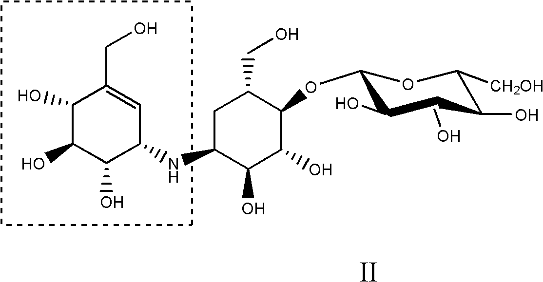 Method for preparing acarbose through microbial fermentation