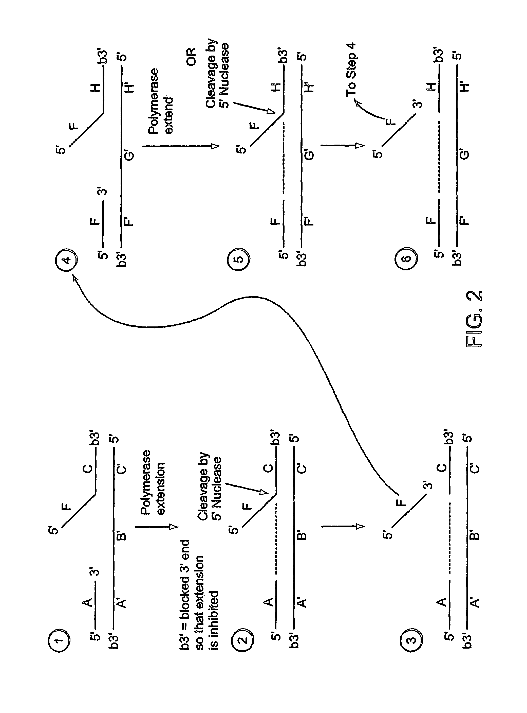 Methods for detection of a nucleic acid by sequential amplification