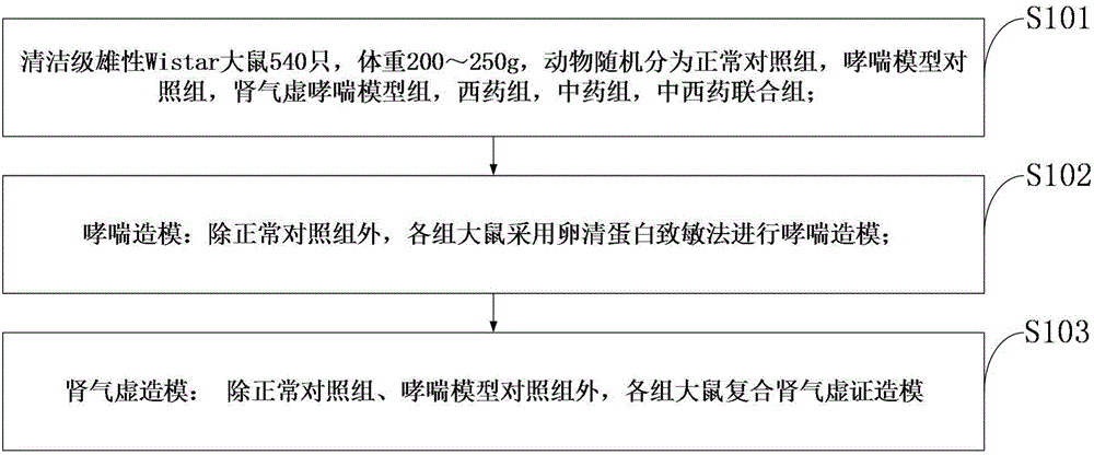 Medicine for treating asthma and kidney qi deficiency, animal model and establishing and using method