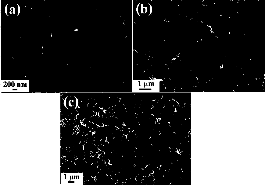 Ni-Co double metal hydroxide nanometer sheet / N-doped carbon fiber hybrid material and preparation method thereof