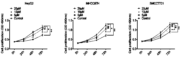 Application of atractylon to preparation of anti-liver cancer molecular target medicine