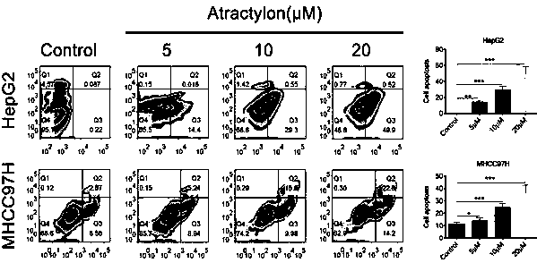 Application of atractylon to preparation of anti-liver cancer molecular target medicine