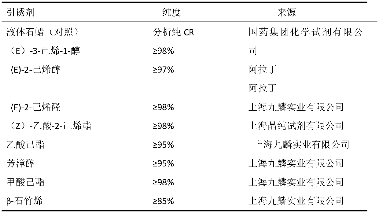 Attractant for Chouioia cunea Yang, and application thereof