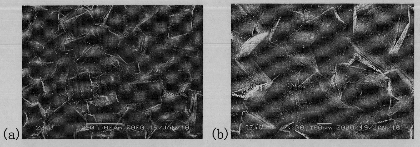 Method for preparing potassium-sodium niobate textured ceramic and potassium-sodium niobate single crystal