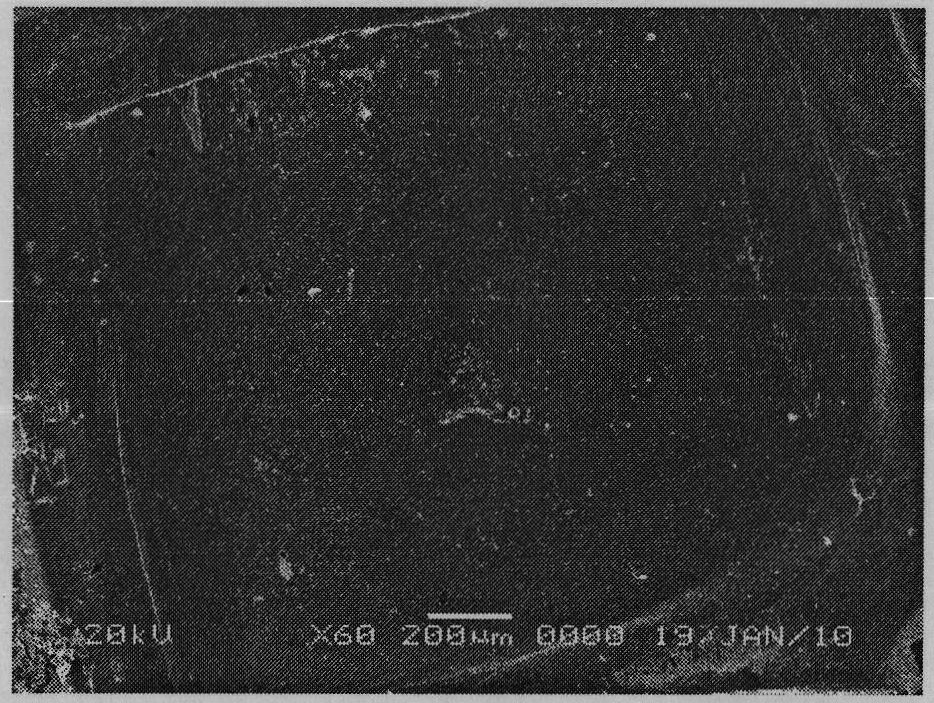 Method for preparing potassium-sodium niobate textured ceramic and potassium-sodium niobate single crystal