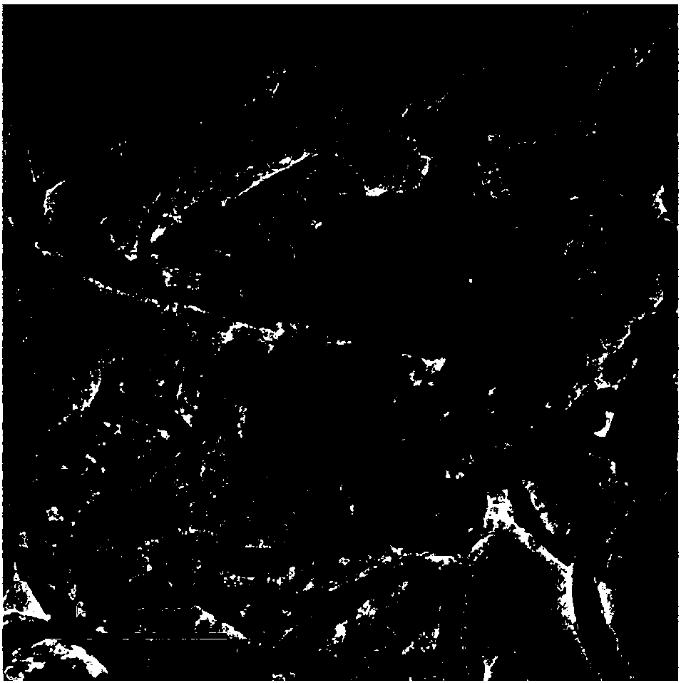 Sulfur-indium-zinc, gold and carbon nitride two-dimensional lamellar composite photocatalyst preparation method