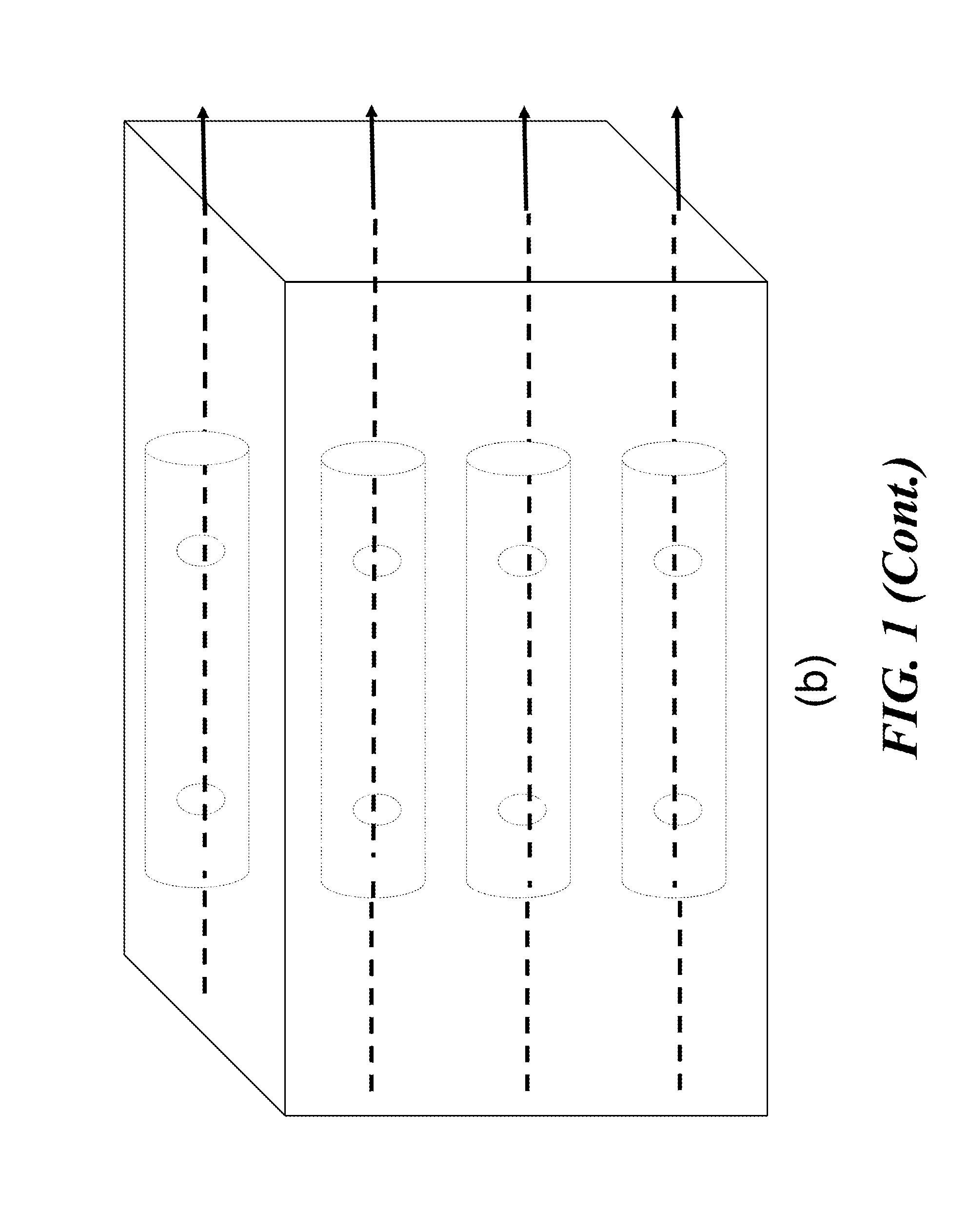 Apparatus for detecting tumor cells