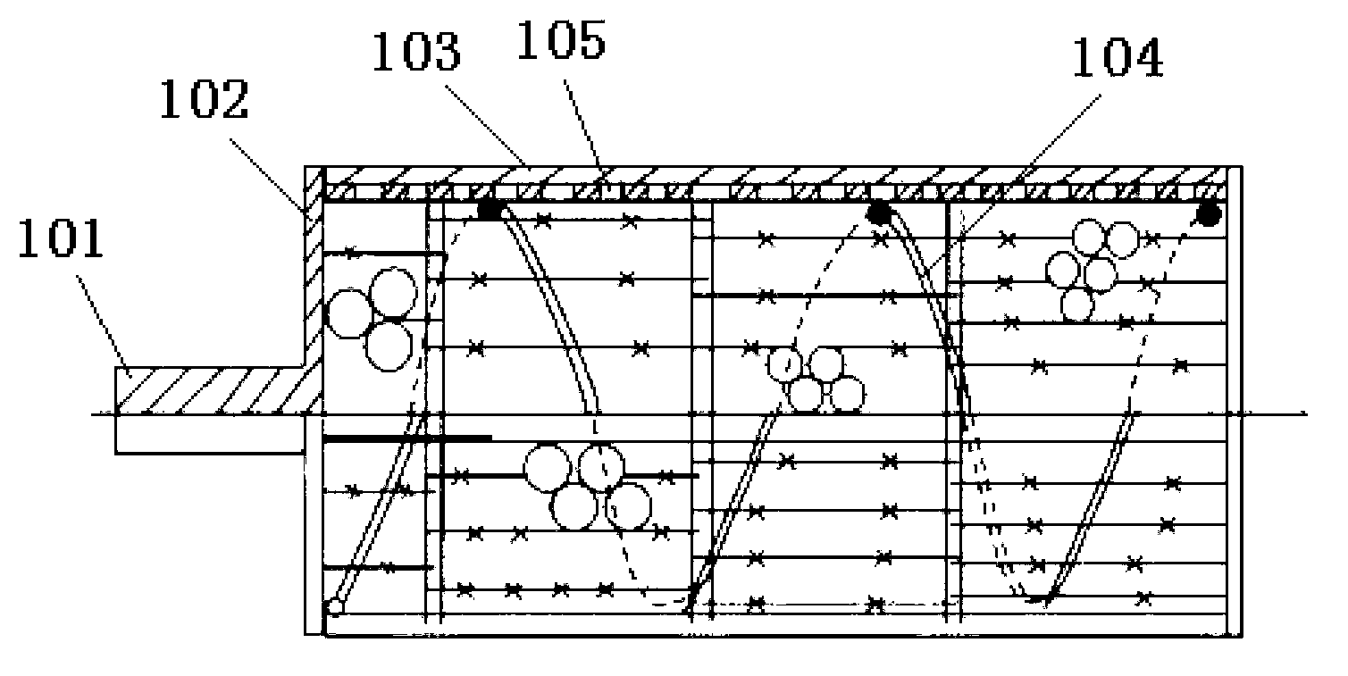 Rub type shelling and sorting machine for camellia fruits