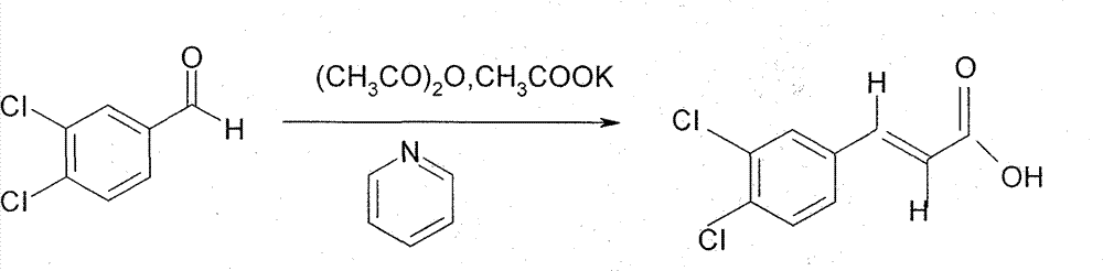 Preparation method of chlocibutamine