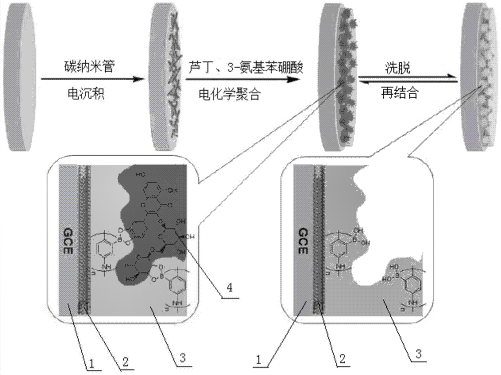 Based on phenylboronic acid imprinted polymer/carbon nanotube modified electrode and its preparation method and application