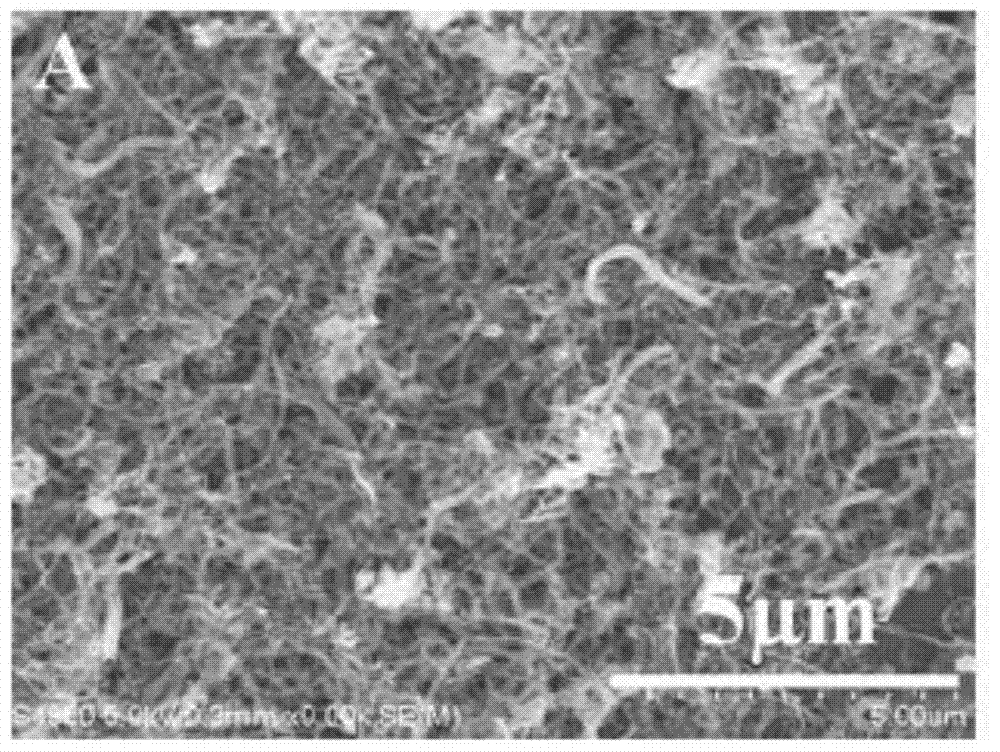 Based on phenylboronic acid imprinted polymer/carbon nanotube modified electrode and its preparation method and application