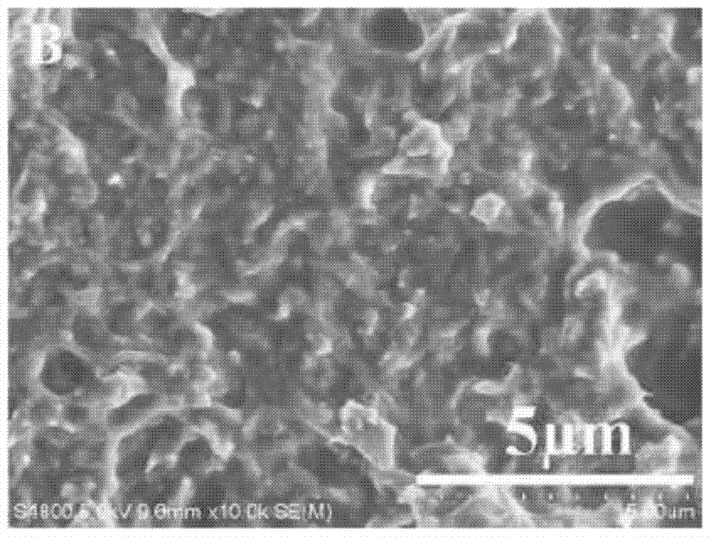 Based on phenylboronic acid imprinted polymer/carbon nanotube modified electrode and its preparation method and application