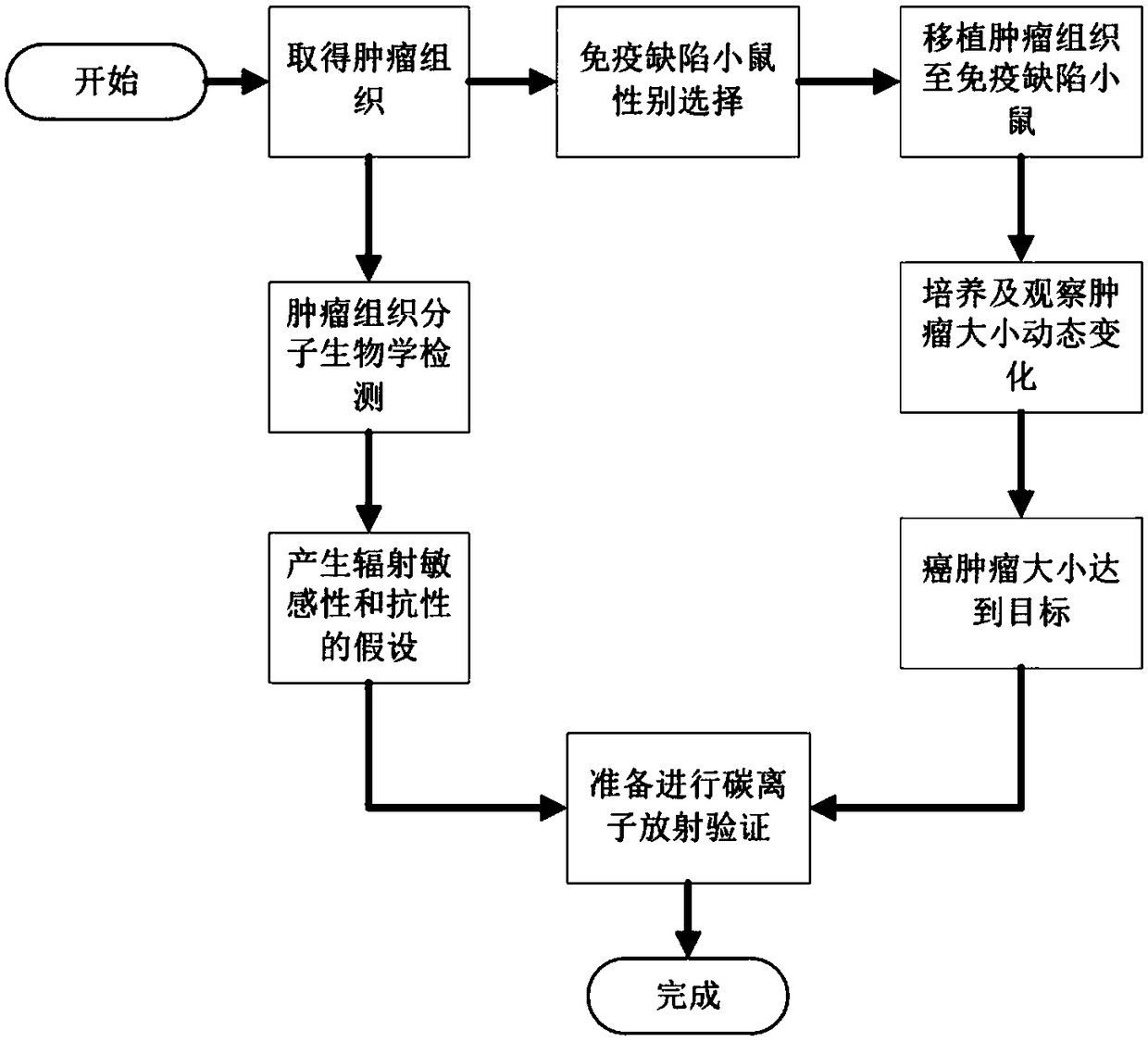 Carbon ion radiotherapy method established based on individualized relative biological effectiveness of patient-derived tumor tissue xenograft transplantation model