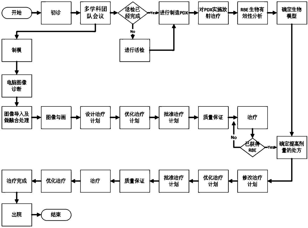 Carbon ion radiotherapy method established based on individualized relative biological effectiveness of patient-derived tumor tissue xenograft transplantation model