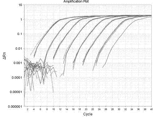 Kit for detecting high mobility group chicken protein B1 by real-time fluorescent quantitative reverse-transcription polymerase chain reaction