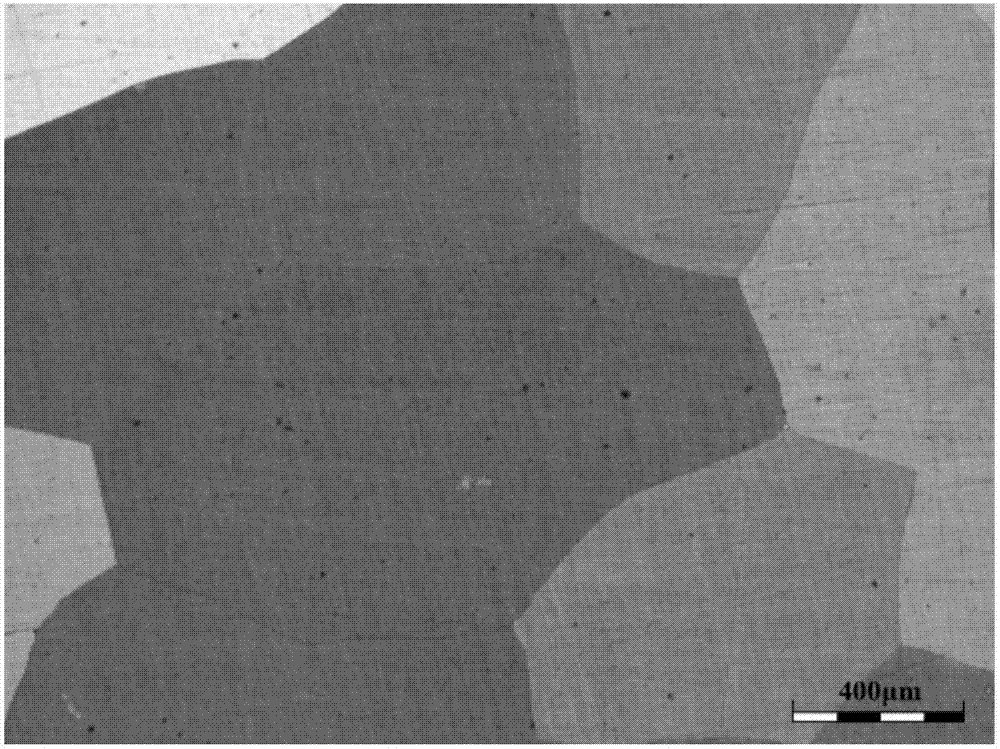 Super-austenitic stainless steel high-temperature homogenization processing method