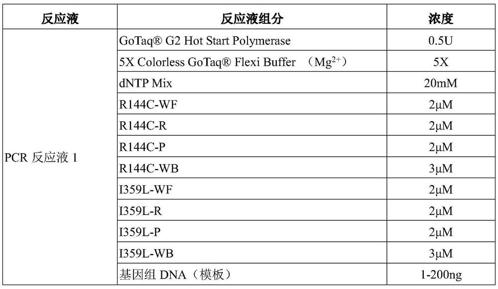 Warfarin medication gene detection kit and use method thereof