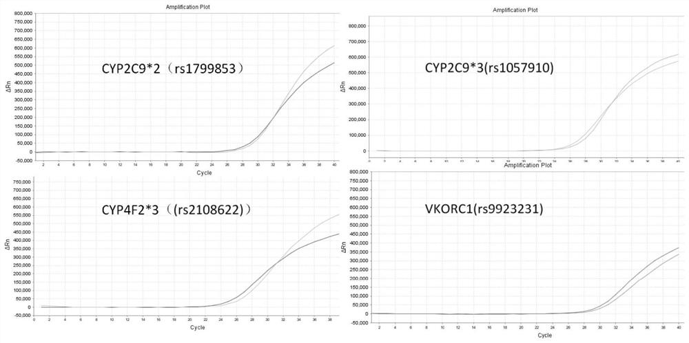 Warfarin medication gene detection kit and use method thereof