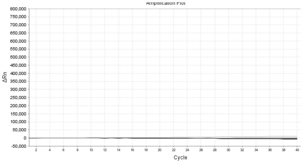 Warfarin medication gene detection kit and use method thereof