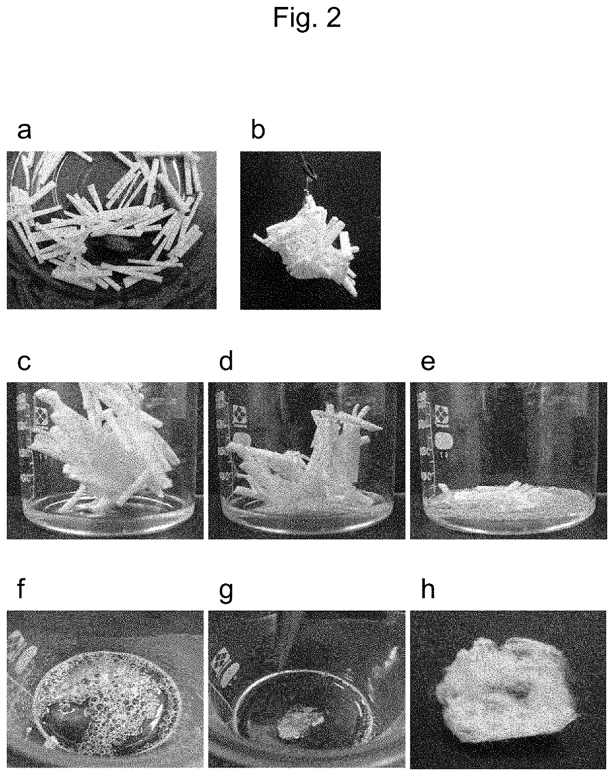 Bagworm silk thread collecting method