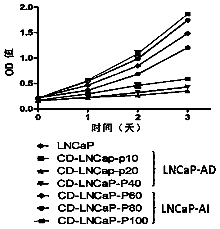 CYTOR and application of inhibitor thereof to resistance to castration resistant tumor