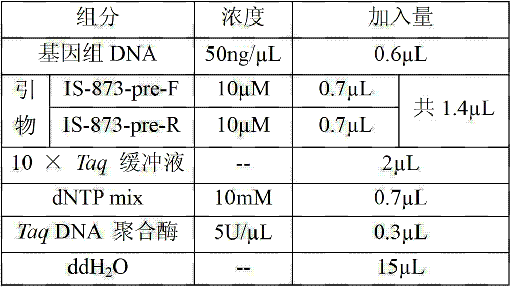 Method for identifying or assisting in identifying mating types of Lepista sordid protoplast monokaryons and special primer pairs IS-873 thereof