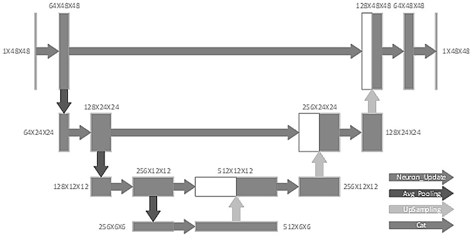 Burn area segmentation system based on pulse neural network U-shaped model