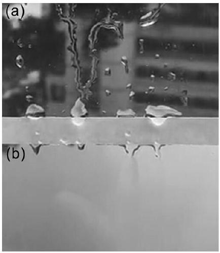 Anti-fouling self-cleaning material and preparation method and application thereof