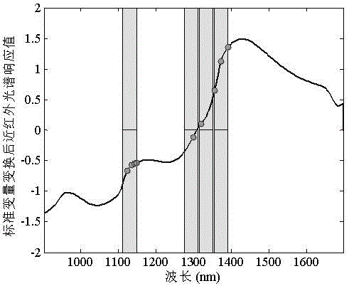 Handheld near infrared spectrum detection system and detection method for quality of fruits and vegetables