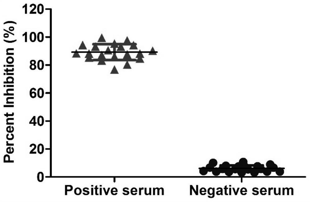 Nano antibody of PRRSV N protein, and preparation method and application of nano-antibody