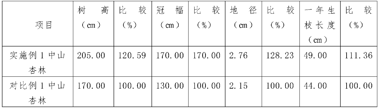 Method for preventing and controlling flower freezing and fruit freezing of armeniaca sibirica due to late frost by Chinese pine big umbrella forest