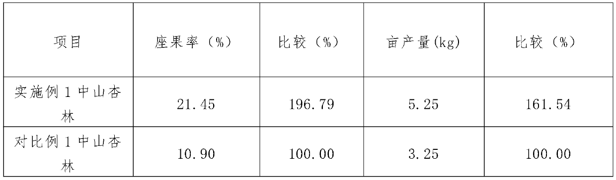 Method for preventing and controlling flower freezing and fruit freezing of armeniaca sibirica due to late frost by Chinese pine big umbrella forest