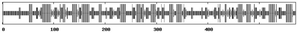 4-coumarate-CoA ligase gene Th4CL and application thereof