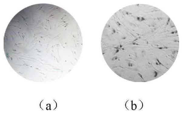 Application of hemo as a marker of aging