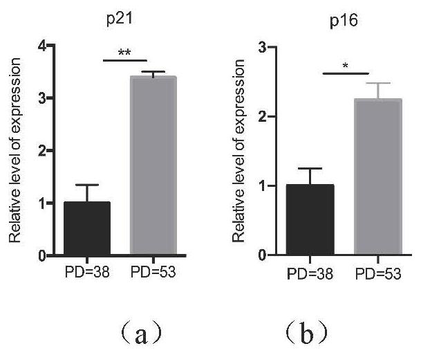 Application of hemo as a marker of aging