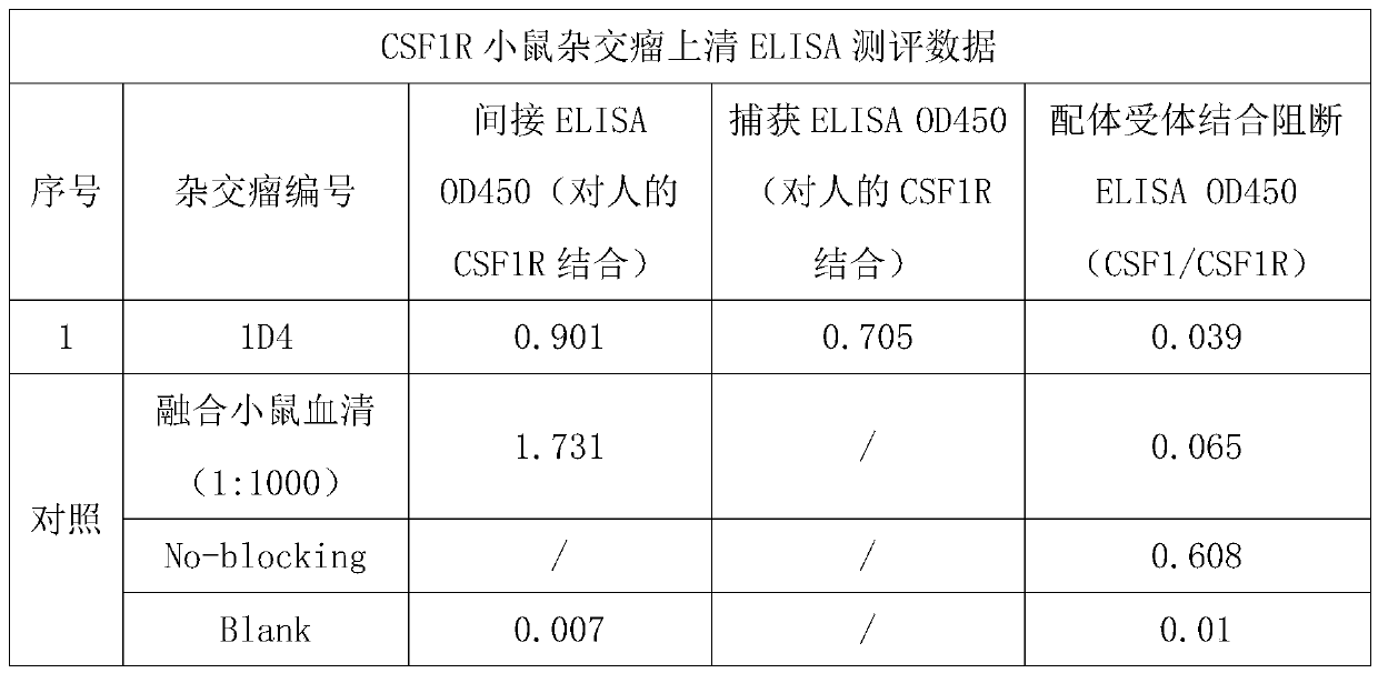 A kind of anti-human csf-1r monoclonal antibody and its application