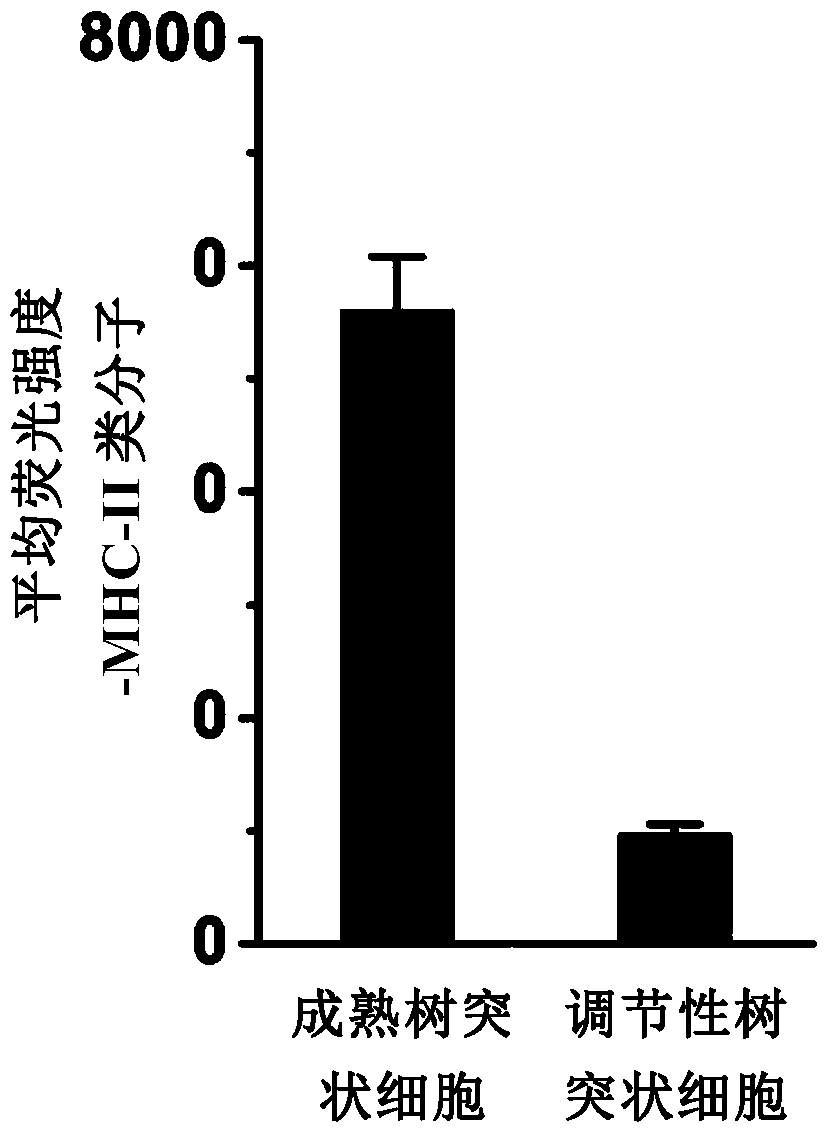 Immunosuppressive drug and preparation method thereof