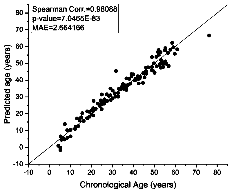 Method and system for acquiring individual age of Chinese population and amplification detection system