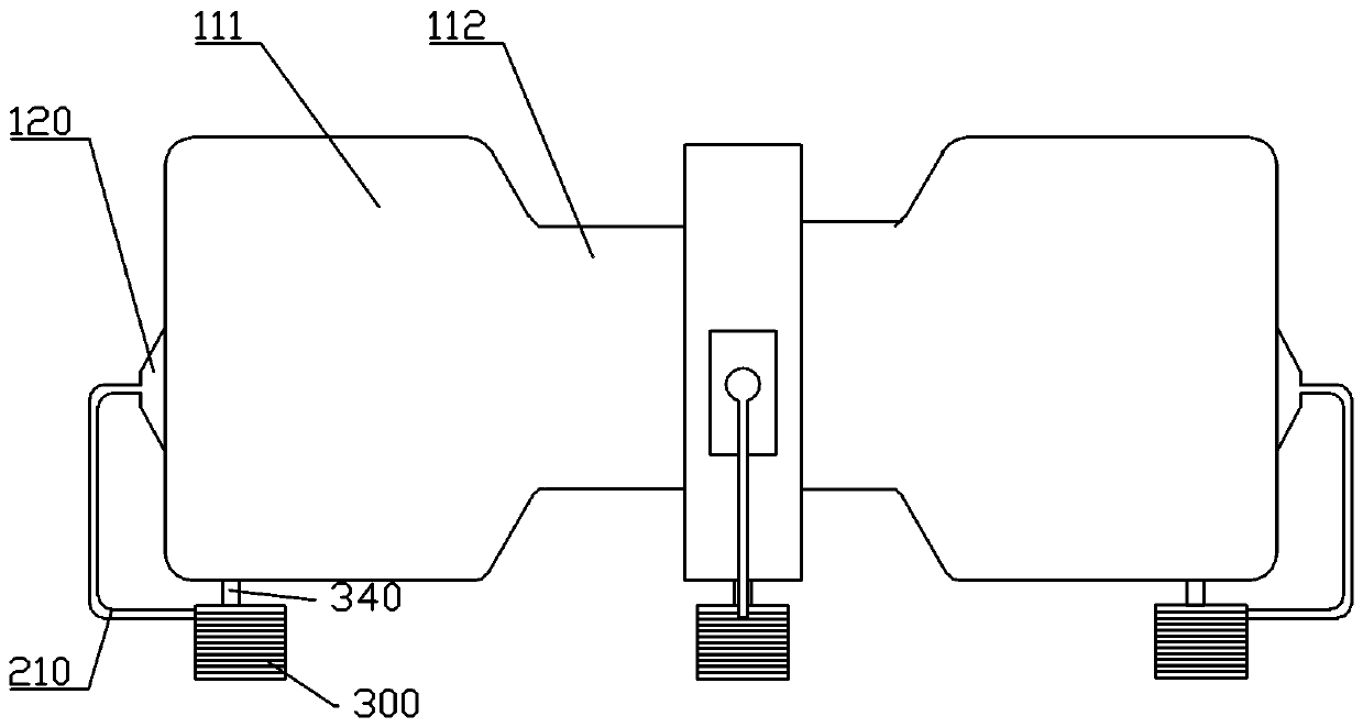 Fry transporting method