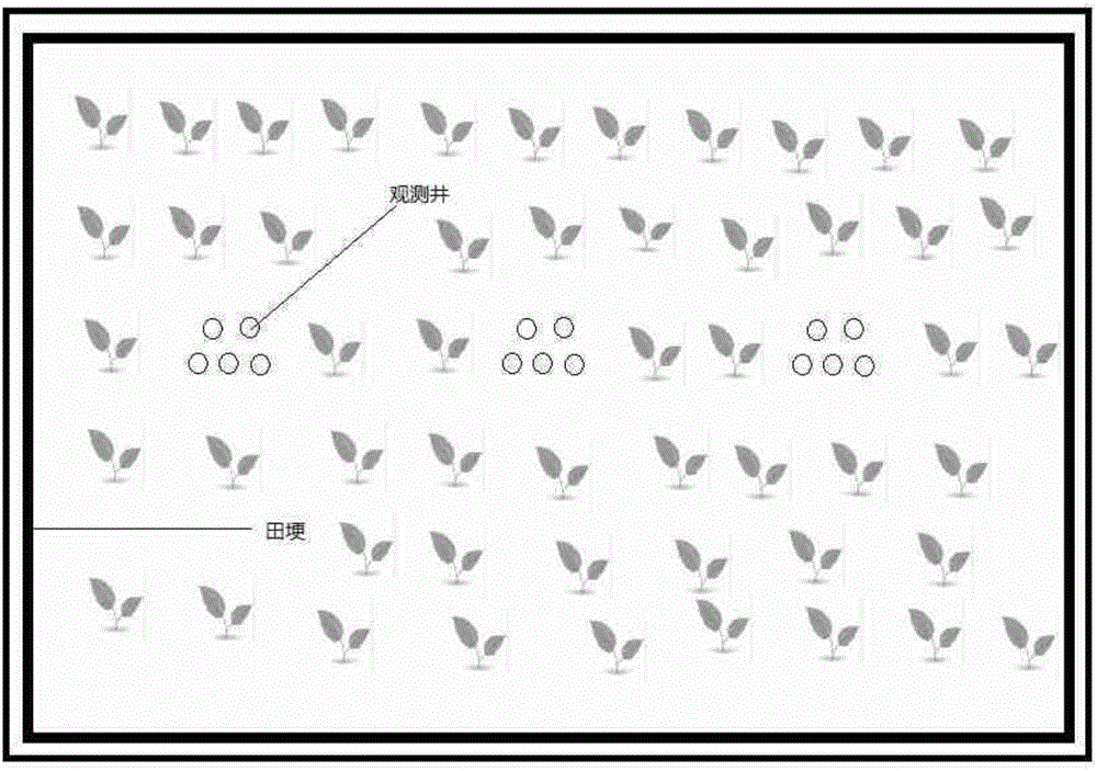 Shallow groundwater pollutant monitoring system