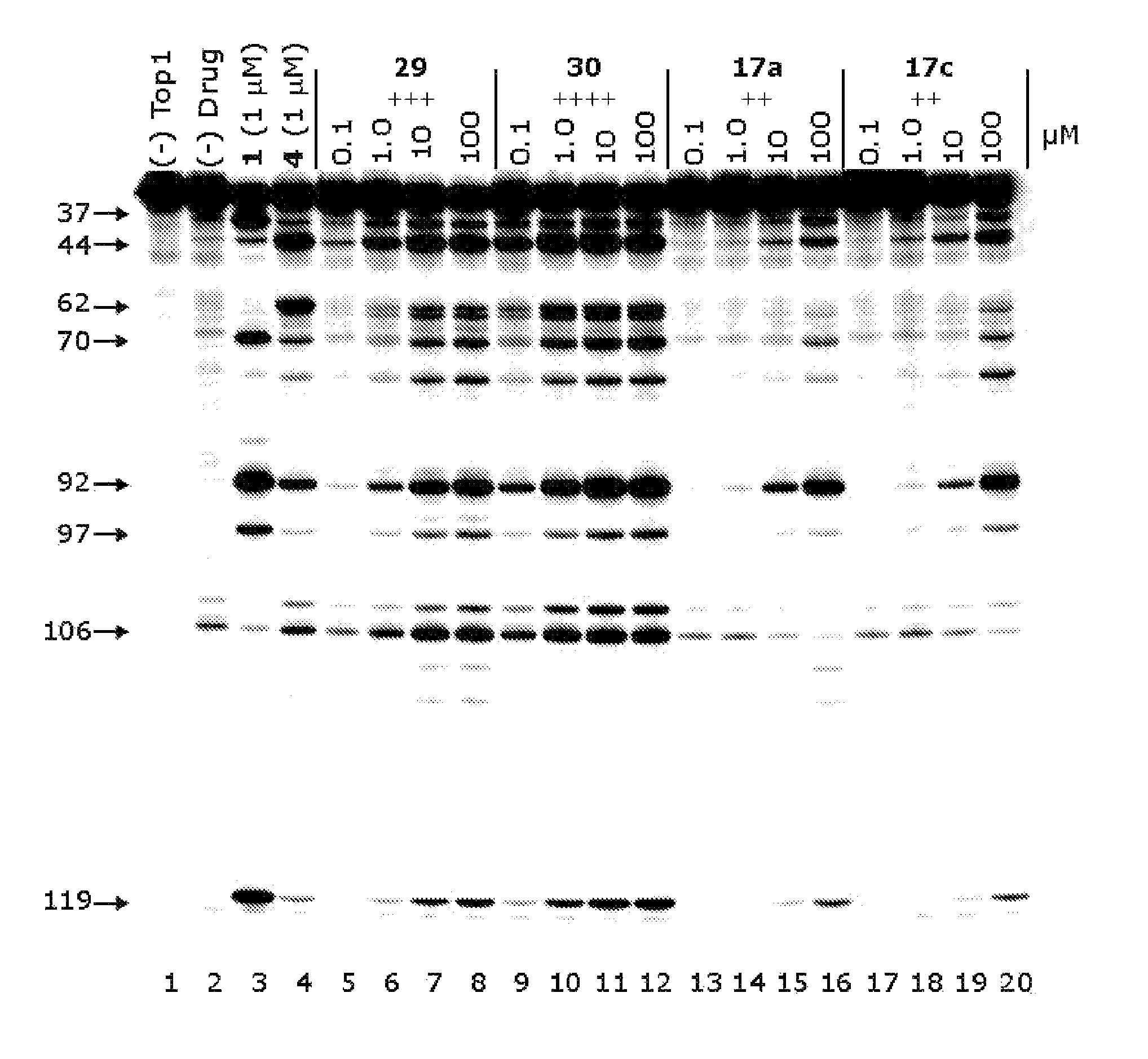 Alcohol-, diol-, and carbohydrate-substituted indenoisoquinolines as topoisomerase I inhibitors